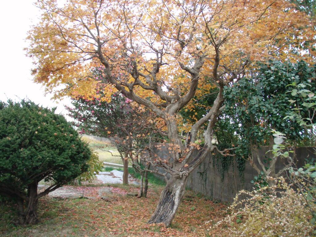 Guesthouse Hokkai Nanao Extérieur photo
