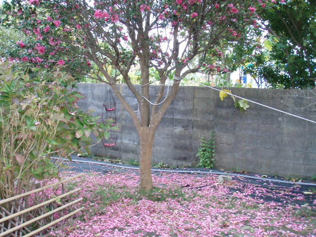 Guesthouse Hokkai Nanao Extérieur photo